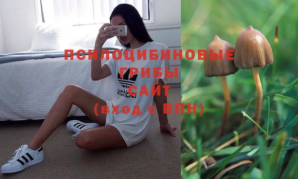 гидропоника Иннополис