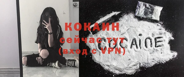 mdpv Белокуриха