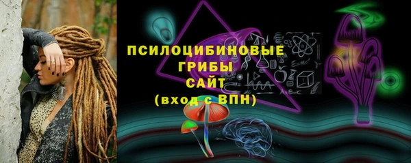 mdpv Белокуриха